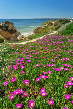 Fototapeta Vertical spring landscape beach Gale. Albufeira Portugal .