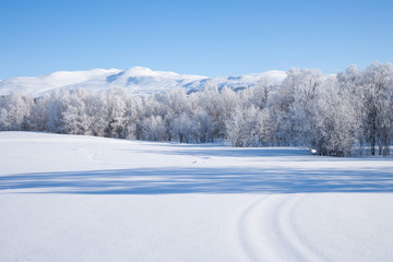 Sonniger Wintertag in Schweden