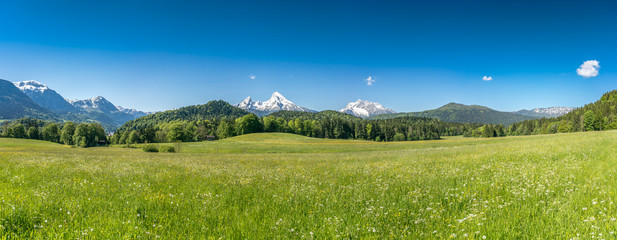 Fototapeta premium Idylliczny krajobraz w Alpach z zielonymi łąkami i domem