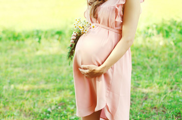 Fototapeta na wymiar Pretty pregnant woman with chamomiles flowers over summer backgr