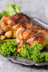 Whole Grilled mini chicken