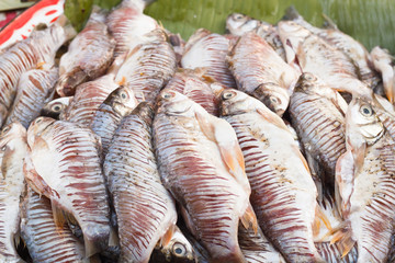 Raw  fish on the market.