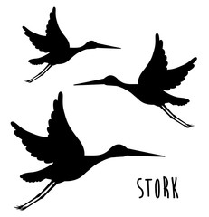 cute stork  design