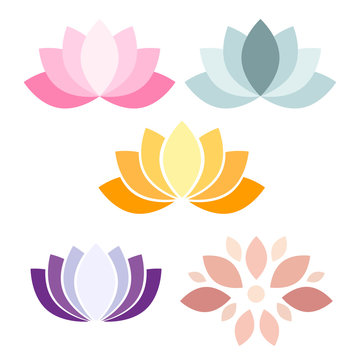 Colorful Lotus flower vector icons on white background

