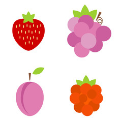 Colorful fruits and berries vector icons on white background
