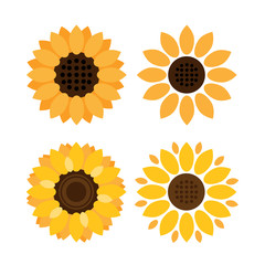 Colorful Sunflower vector icons on white background
