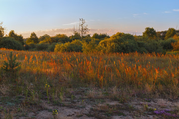 Fototapeta premium beautiful dawn.