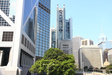 Fototapeta premium Hong Kong's Skyline