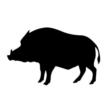Vector black silhouette of the wild boar isolated on white background
