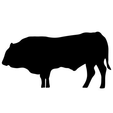 Vector black silhouette of the cow isolated on white background

