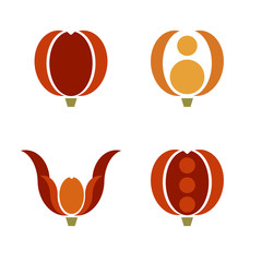 Colorful abstract Tulip flower vector icons on white background
