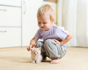 Toddler kid boy playing with kitten in children room