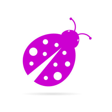 ladybug violet vector