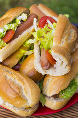 Lunch outdoors: home-made sandwitches close up