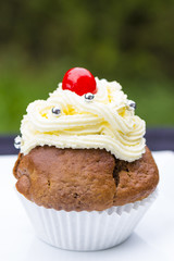 Delicious cupcake with whipped cream