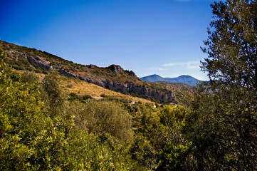 Naklejka premium Monte Argentario (Province of Grosseto, Tuscany, Italy) countryside