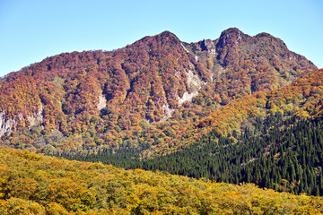烏ヶ山　木谷の森　黄葉