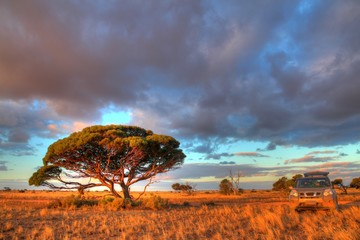 Nullarbor Plain, Australia