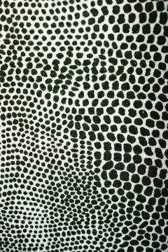 The gray leopard print fabric texture