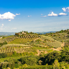 vineyards in Tuscany - obrazy, fototapety, plakaty