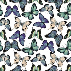 Watercolor butterfly pattern vector