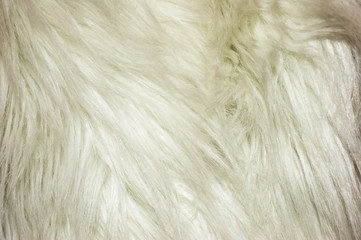 White fur