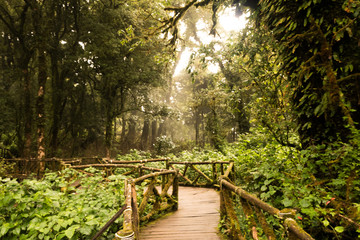 Footpath travel in Nature Trail