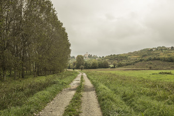 Fototapeta na wymiar Langhe, paesaggio in Piemonte