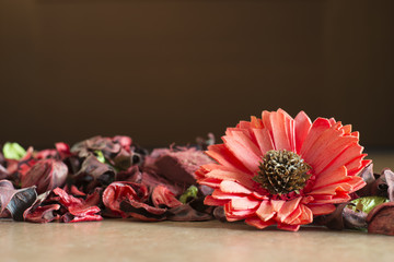 potpourri lying on floor with big red flower on the right and negative space on top