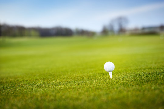 Golf ball in grass