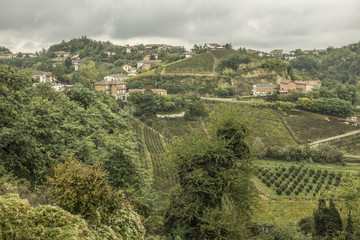 Fototapeta na wymiar Langhe, Roero e Monferrato
