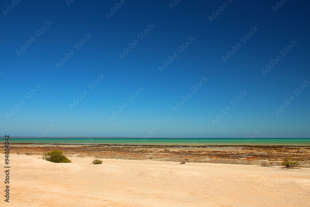 Canvas Prints Shark Bay, Western Australia