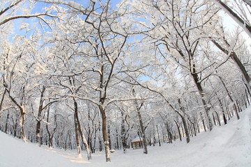 The next morning the heavy snow fell