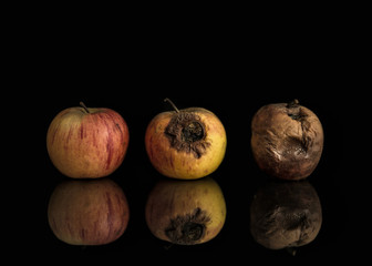 Profile of three apples including good, bad and completely rotten. Set on black background with reflection. © Digital21
