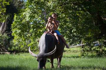 Children riding on a the Buffalo © EmmaStock