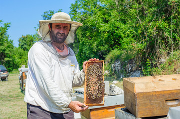 Beekeeper on apiary / Beekeeper pulling frame from the hive