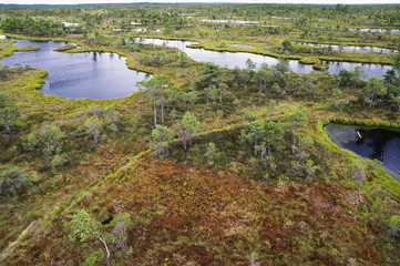 Kemeri swamp in Latvia