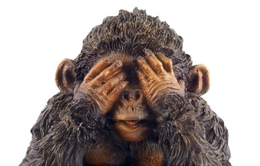 Monkey see nothing, monkeys 2016