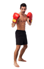 full body young boxer man over white