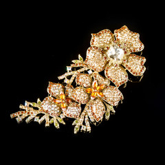 Luxury brooch on a black background
