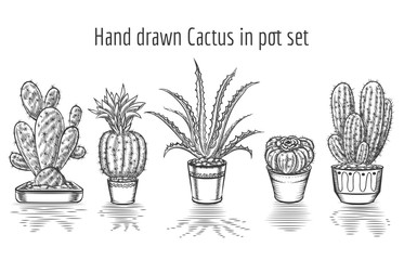 Beauty cacti. Hand drawn cactus in pot set