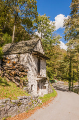 Corippo, Dorf, Valle Verzasca, Verzascatal, Strasse, Passstrasse, Wanderweg, Waldweg, Kastanienwald, Kastanienbäume, Herbst, Tessin, Schweiz