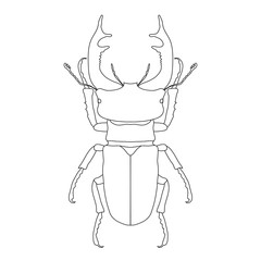 stag-beetle. Lucanus cervus. Sketch of stag-beetle. stag