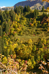 Autumn mountain landscape in the Alps