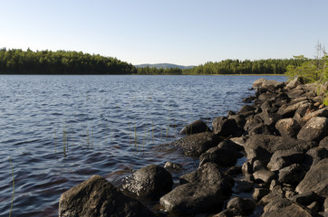 Seaside with lot of stones and a green forest i the background, picture from the North of sweden.