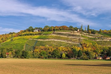 Saale Unstrut Weinberge - Saale Unstrut vineyards 03