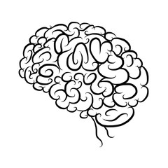 Brain, sketch for your design