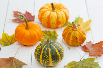 Colorful pumpkins and maple leaves.