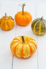 Colorful pumpkins on the table.