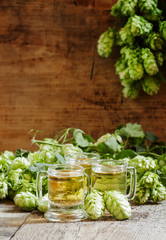 Beer in little old-fashioned mugs, and hop cones on old wooden b